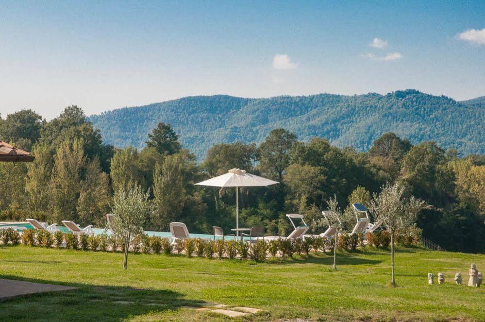 Agriturismo La Collina Del Sole Coltavolino Extérieur photo