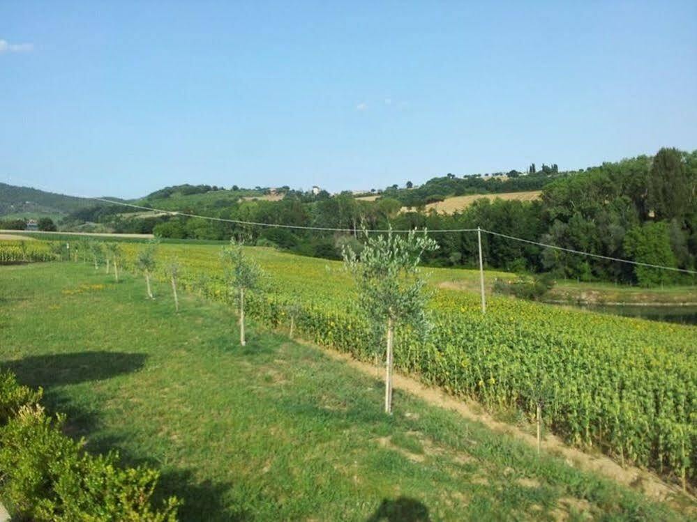 Agriturismo La Collina Del Sole Coltavolino Extérieur photo